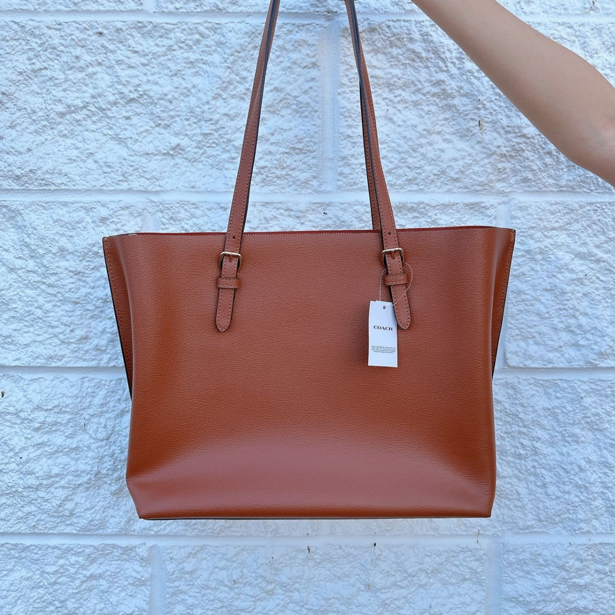 Coach 1671 Mollie Tote In Redwood/1941 Red