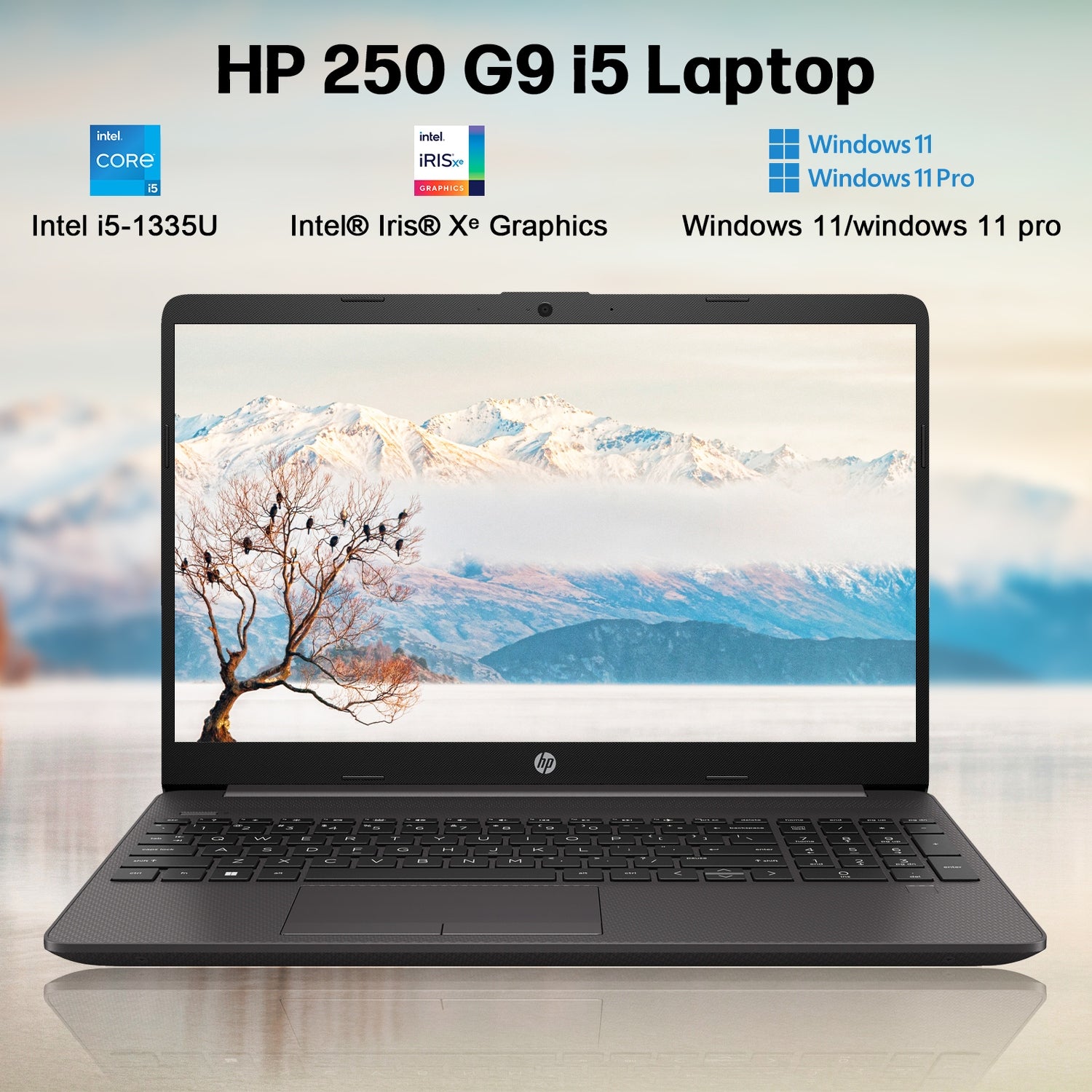 HP i5 Business Student Laptop Computer, 15.6