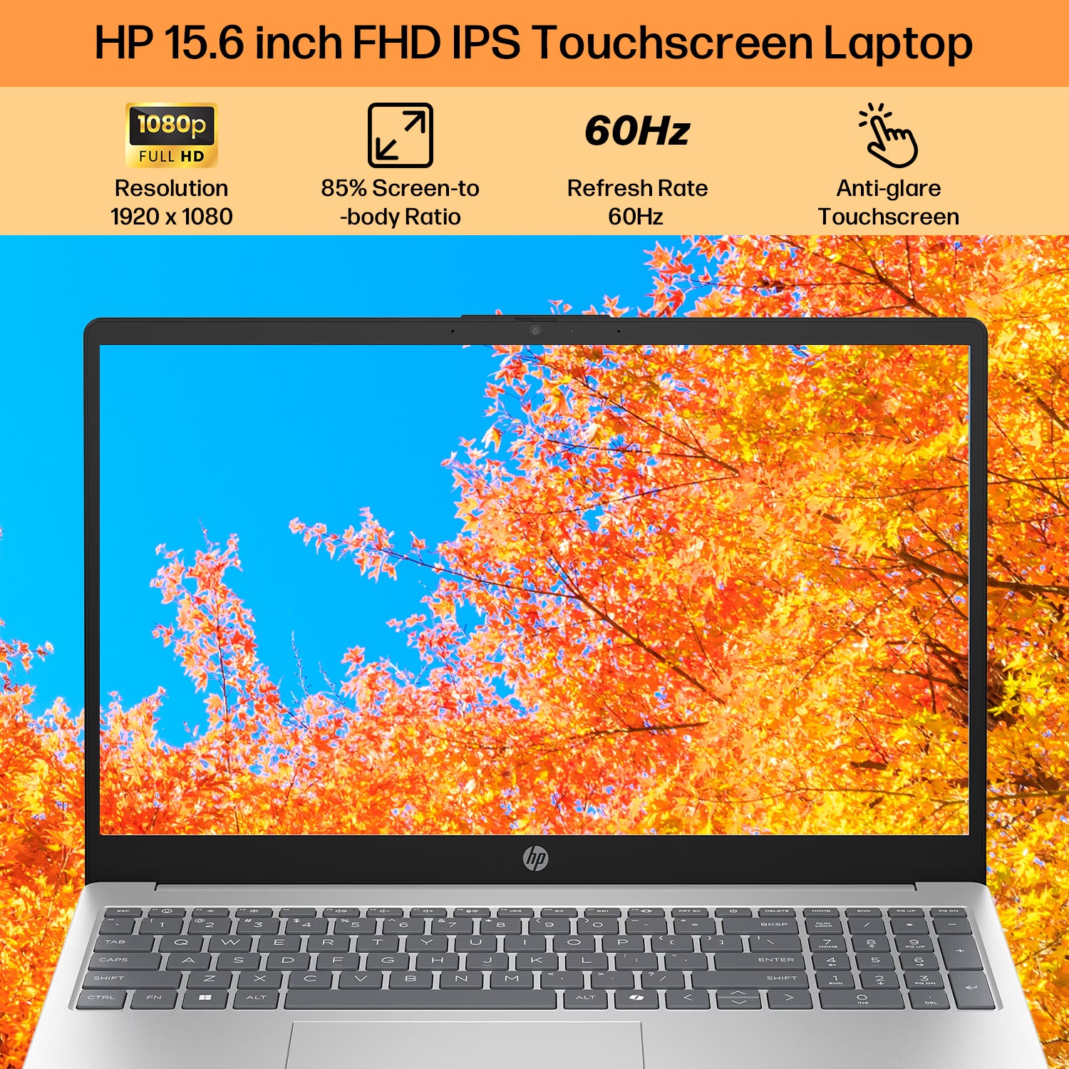 HP 15.6