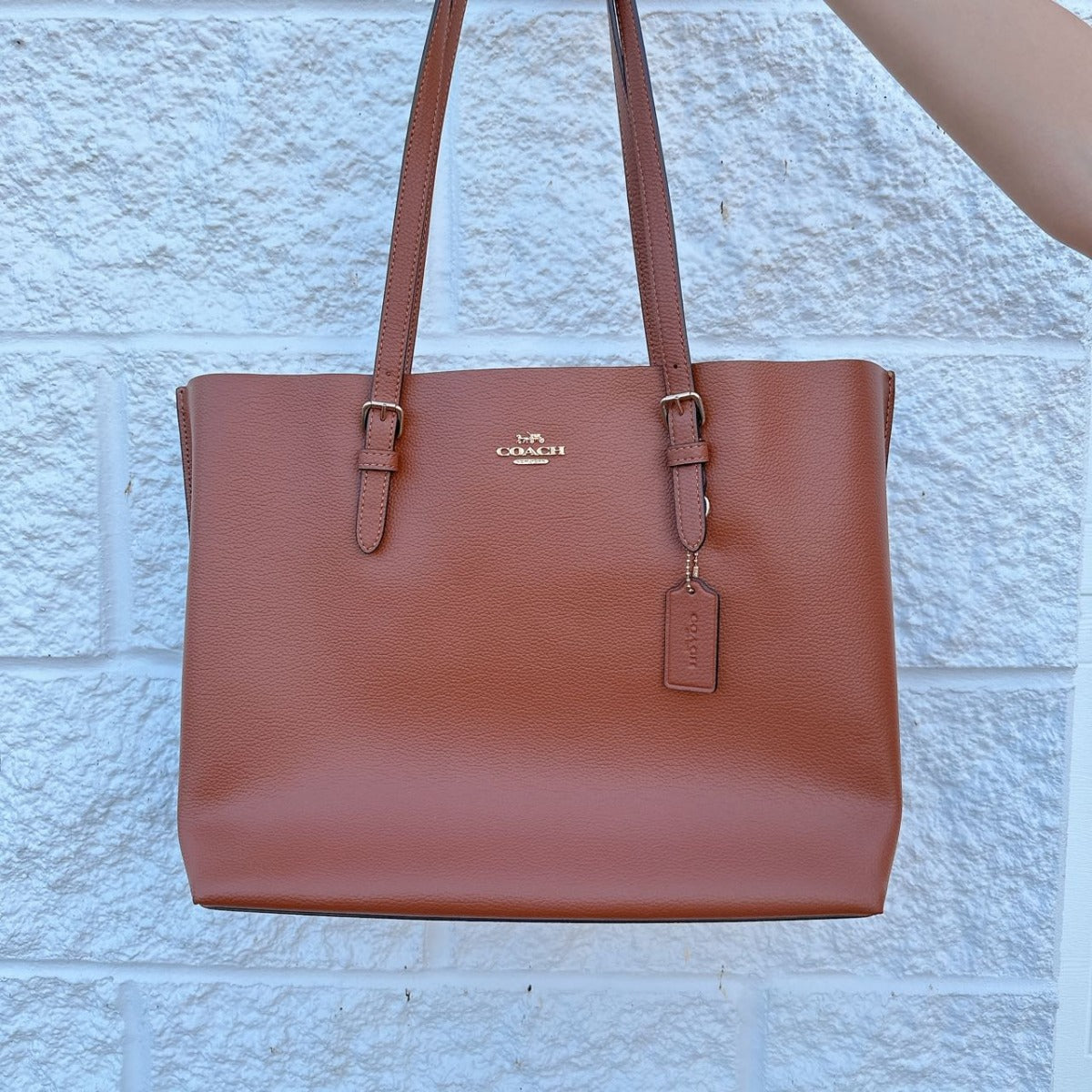 Coach 1671 Mollie Tote In Redwood/1941 Red