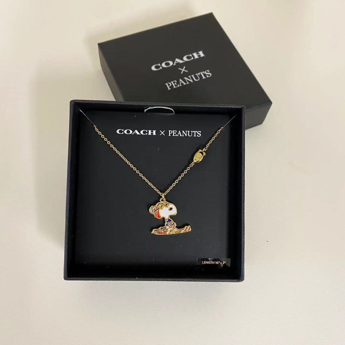 Coach CG050 Coach X Peanuts Snoopy Ski Pendant Necklace In Gold/Multi