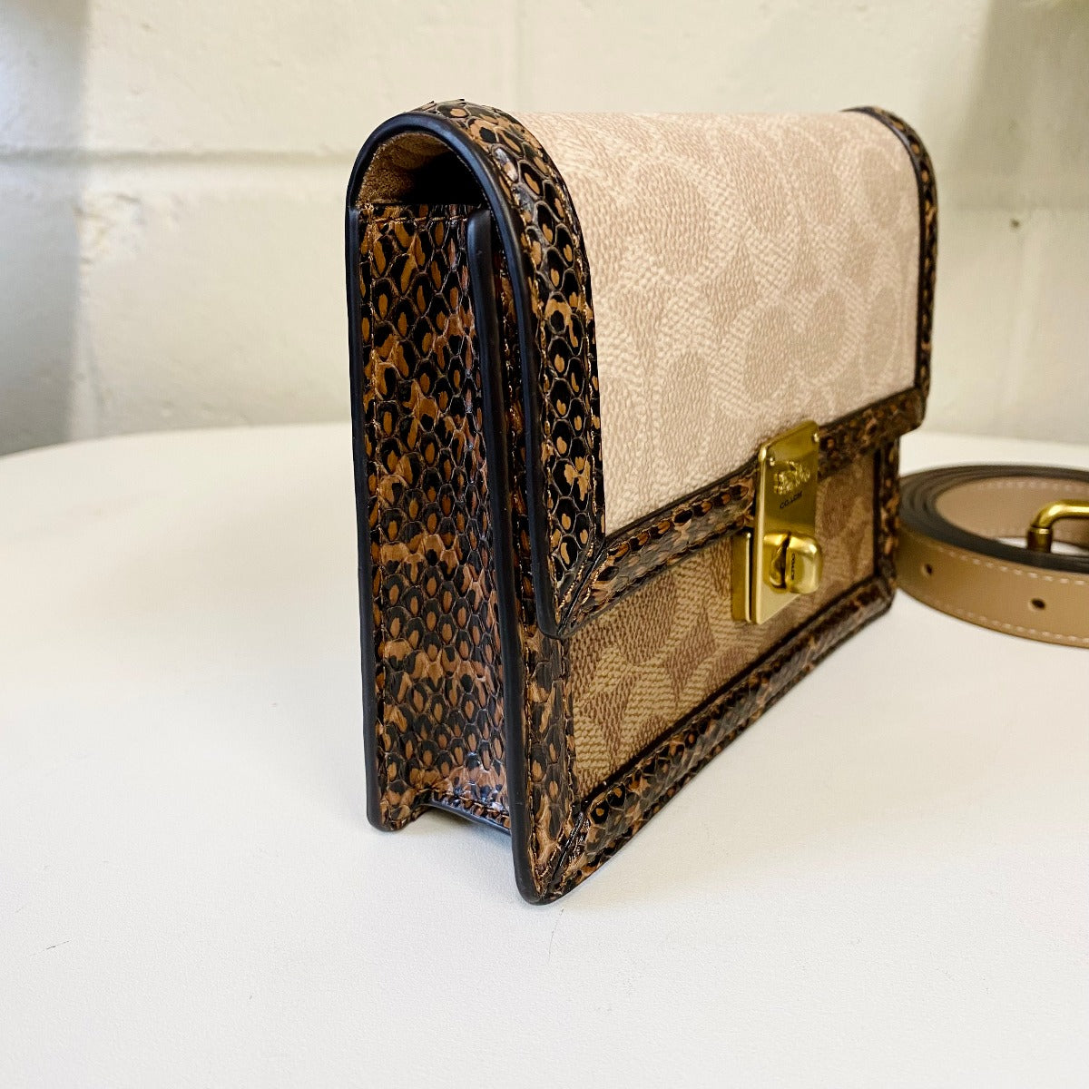 Coach 89237 Hutton Belt Bag In Blocked Signature Canvas With Snakeskin Detail IN Brass Tan Sand