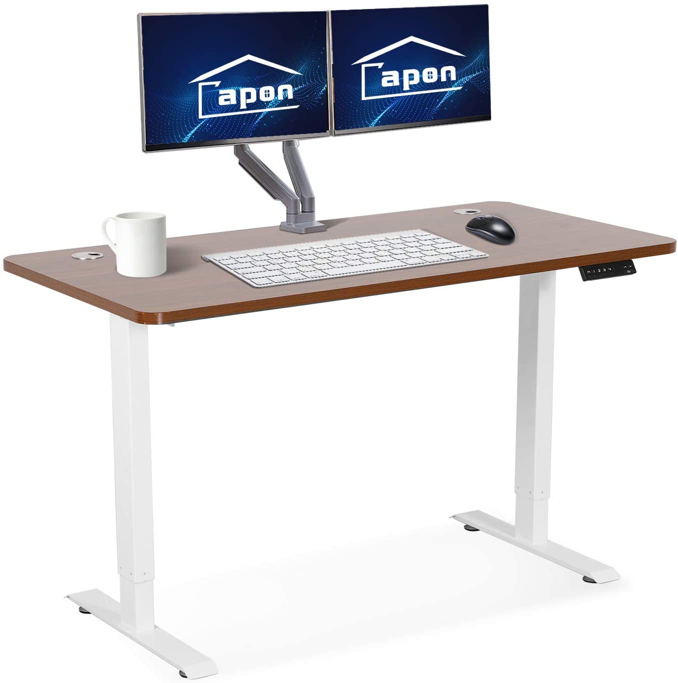 Sit Stand Desk for Home Office, Height Adjustable Computer Desk, 48 x 24 inch, Capon Dual Motorized Sit Stand Gaming Desk with Cable Management, One Piece Top Electric Stand Up Desk, Brown
