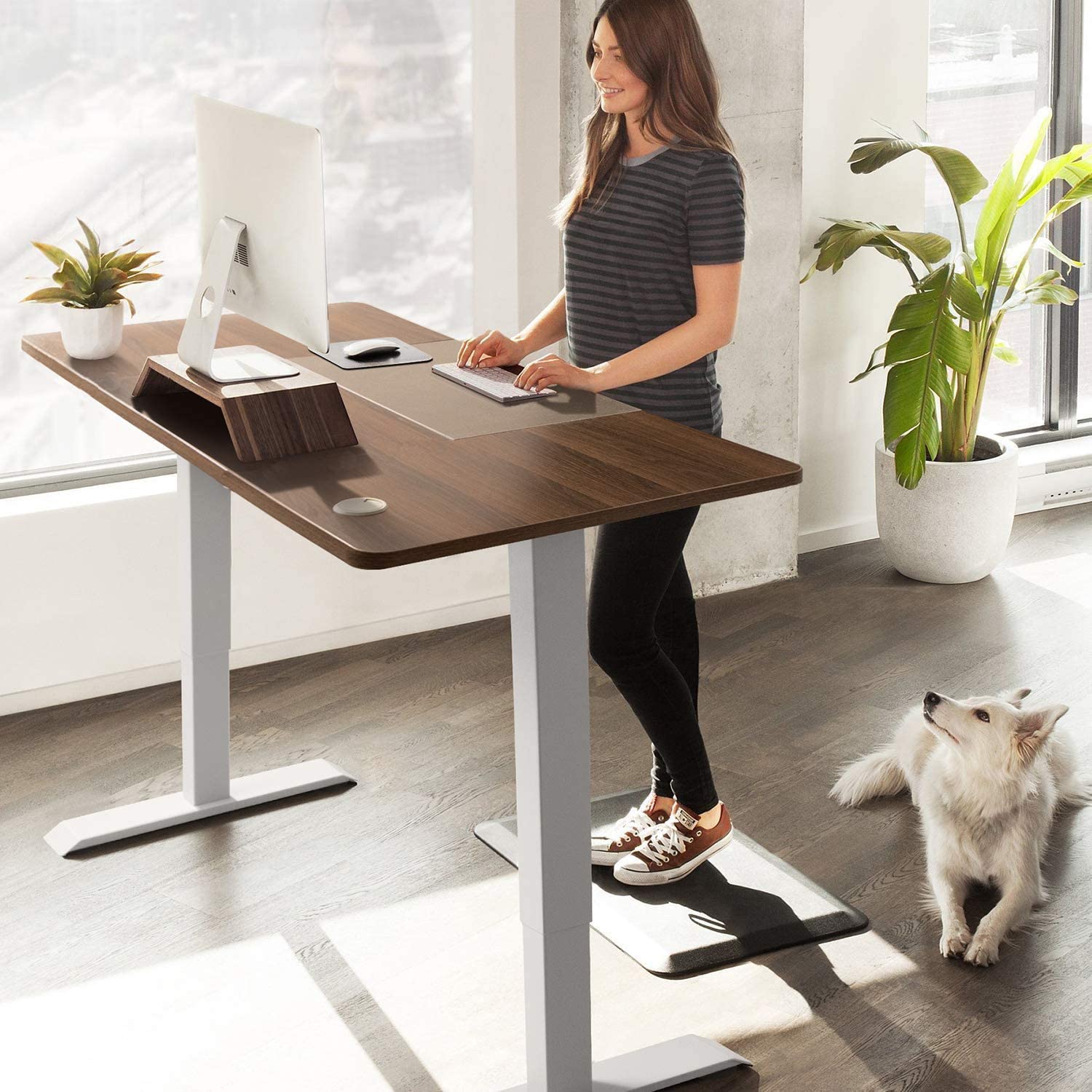 Sit Stand Desk for Home Office, Height Adjustable Computer Desk, 48 x 24 inch, Capon Dual Motorized Sit Stand Gaming Desk with Cable Management, One Piece Top Electric Stand Up Desk, Brown